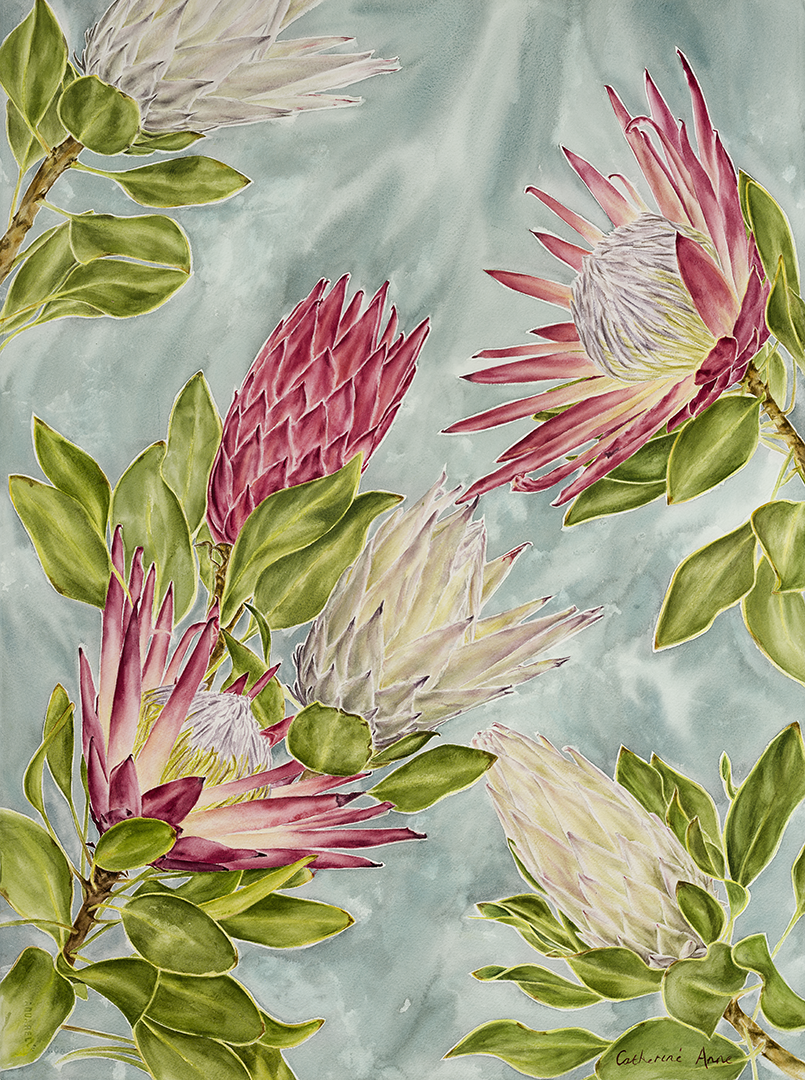 Proteas in Space Print
