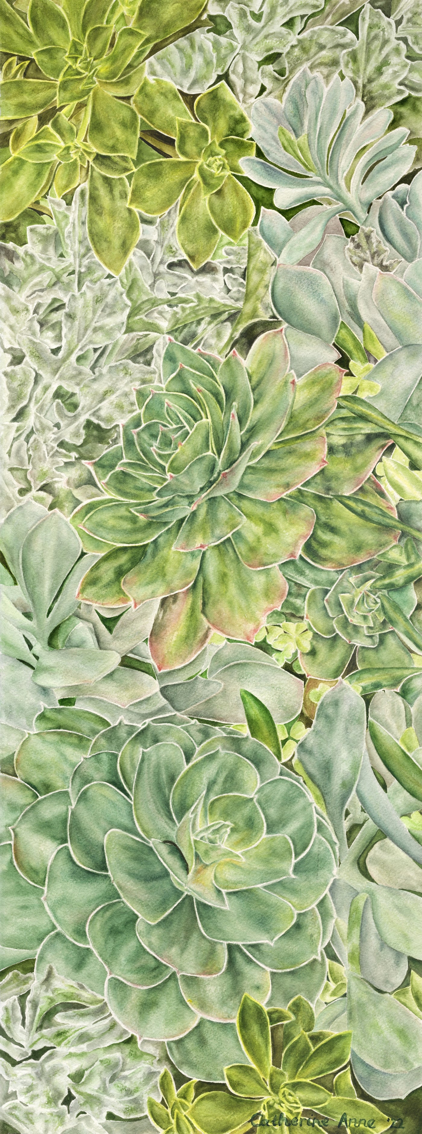Succulents Print